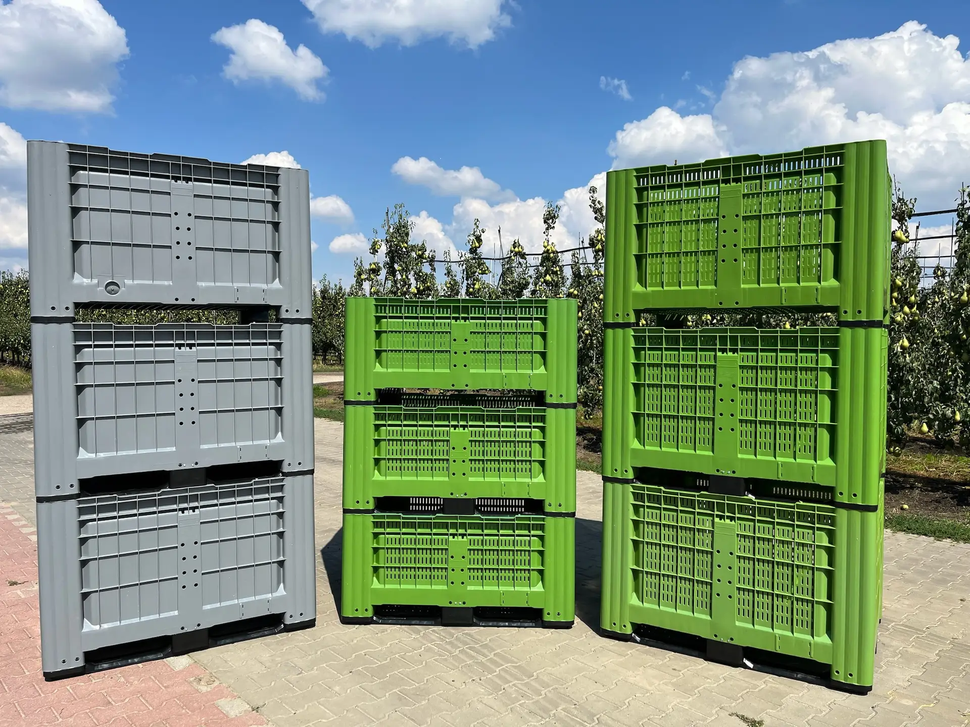 Skrzyniopalety ażurowe i pełne – jabłka i warzywa